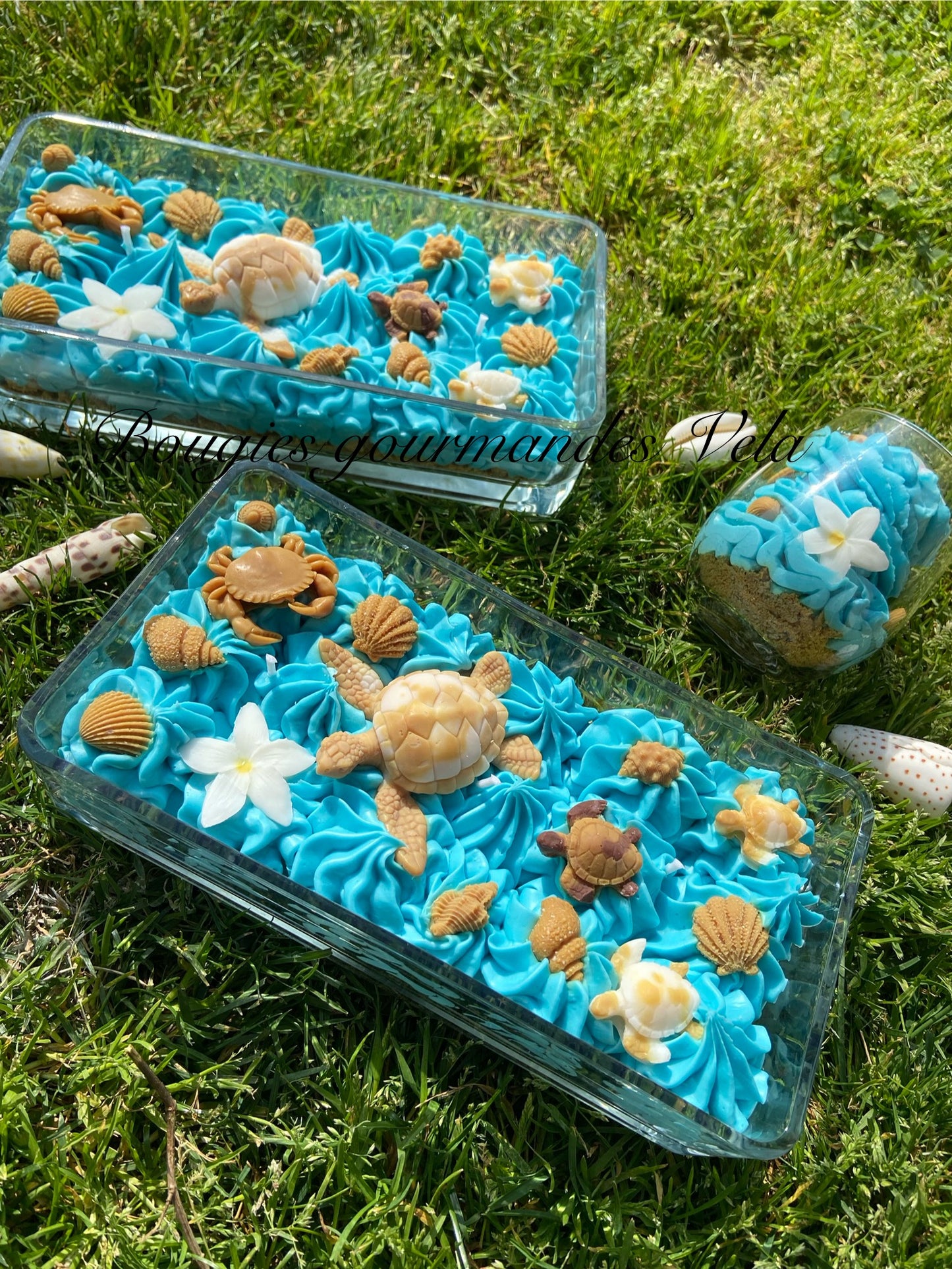 Grosse bougie chantilly monoi tortue coquillages Bougie parfumée monoï Bougie chantilly Bougie artisanale Bougie végétale Idée cadeau