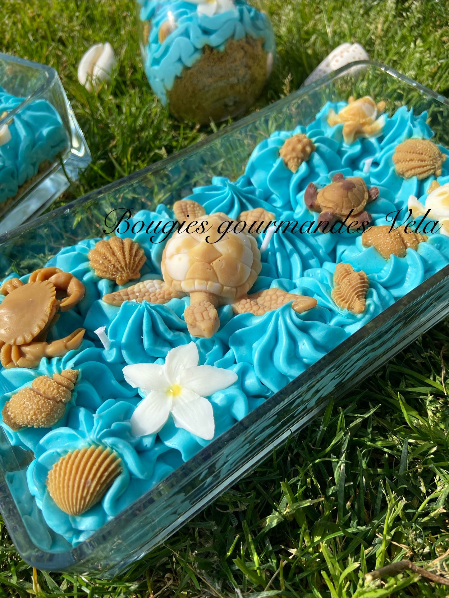 Grosse bougie chantilly monoi tortue coquillages Bougie parfumée monoï Bougie chantilly Bougie artisanale Bougie végétale Idée cadeau