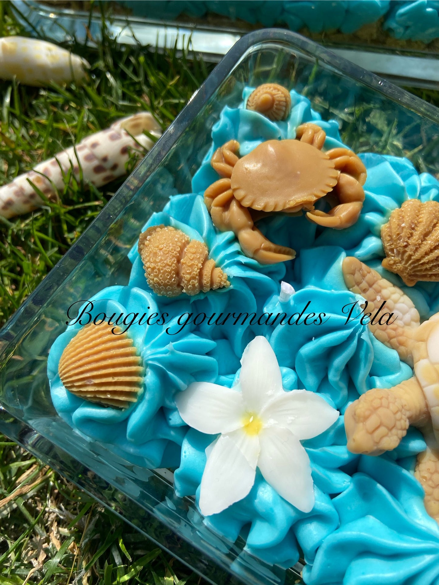 Grosse bougie chantilly monoi tortue coquillages Bougie parfumée monoï Bougie chantilly Bougie artisanale Bougie végétale Idée cadeau