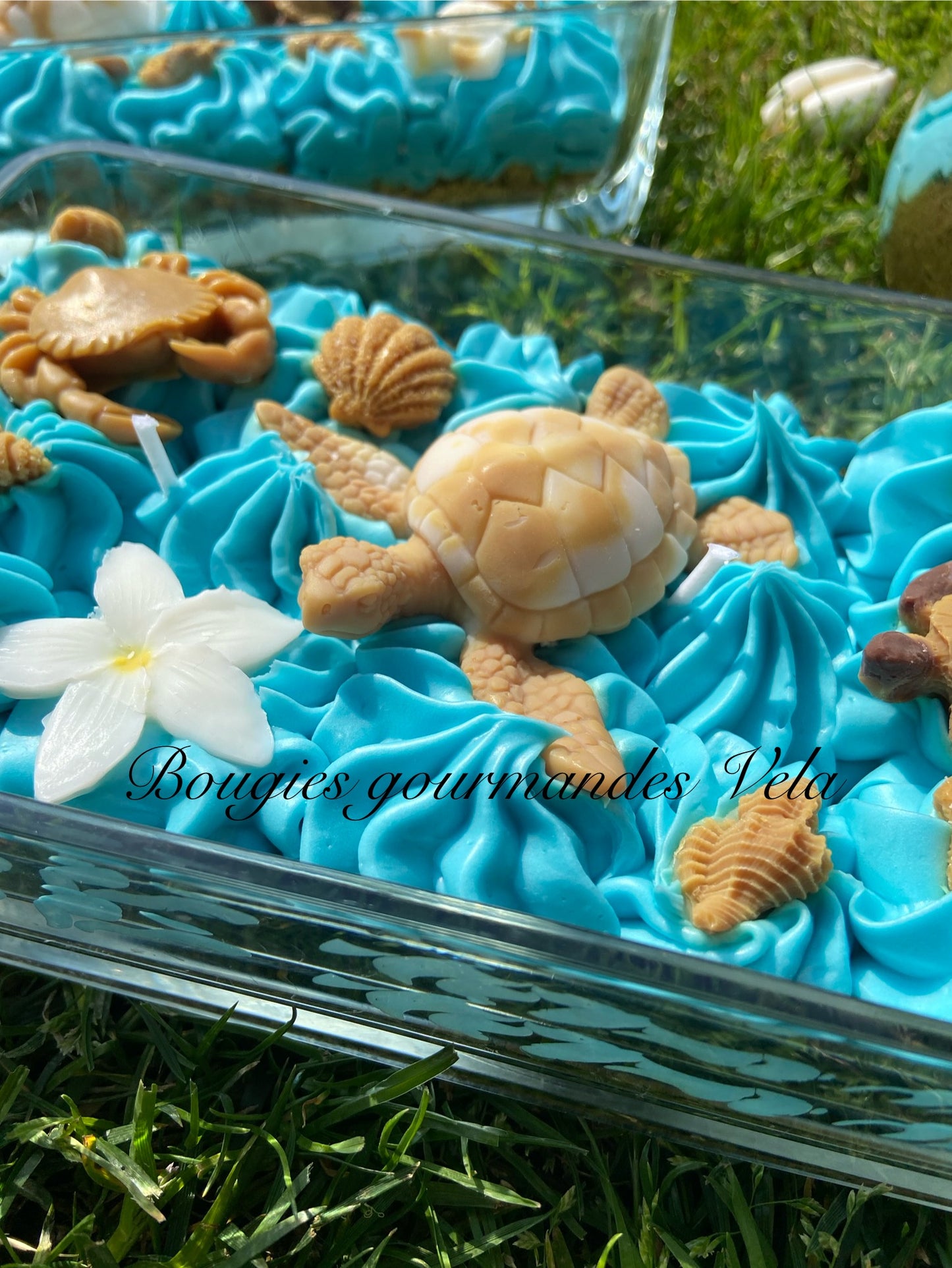 Grosse bougie chantilly monoi tortue coquillages Bougie parfumée monoï Bougie chantilly Bougie artisanale Bougie végétale Idée cadeau