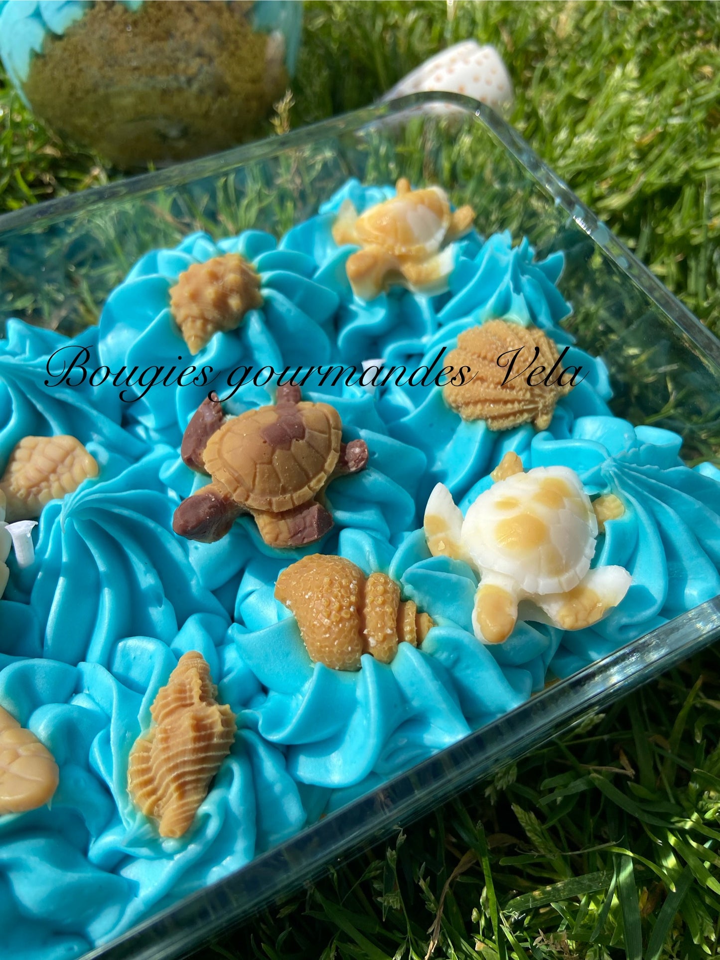 Grosse bougie chantilly monoi tortue coquillages Bougie parfumée monoï Bougie chantilly Bougie artisanale Bougie végétale Idée cadeau