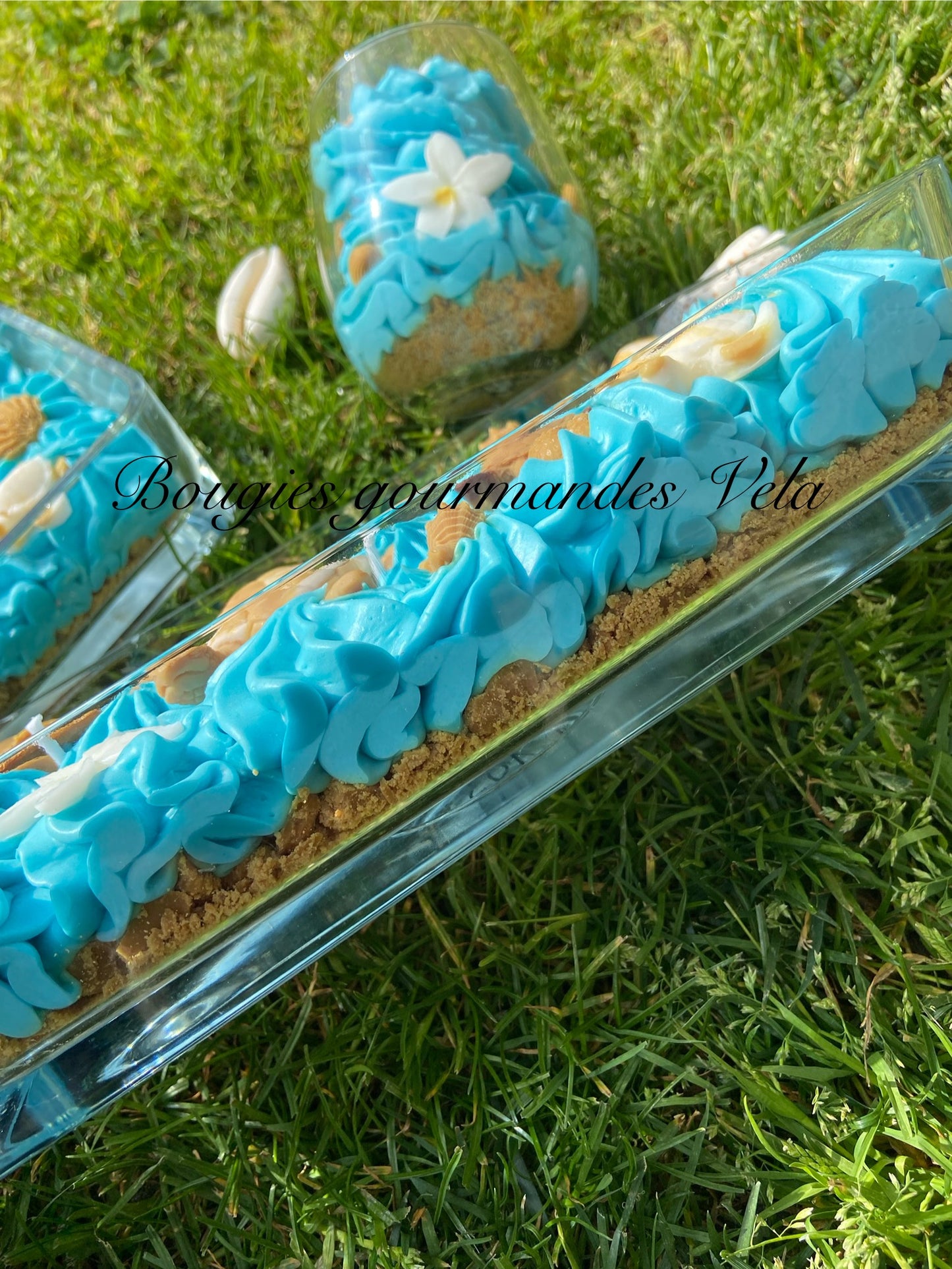 Grosse bougie chantilly monoi tortue coquillages Bougie parfumée monoï Bougie chantilly Bougie artisanale Bougie végétale Idée cadeau