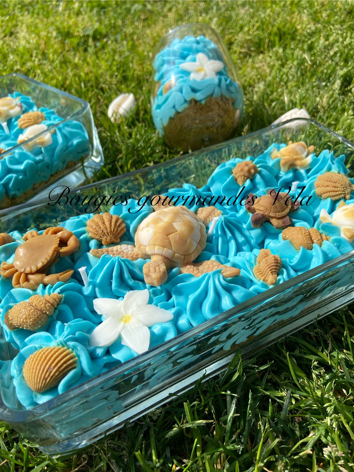 Grosse bougie chantilly monoi tortue coquillages Bougie parfumée monoï Bougie chantilly Bougie artisanale Bougie végétale Idée cadeau
