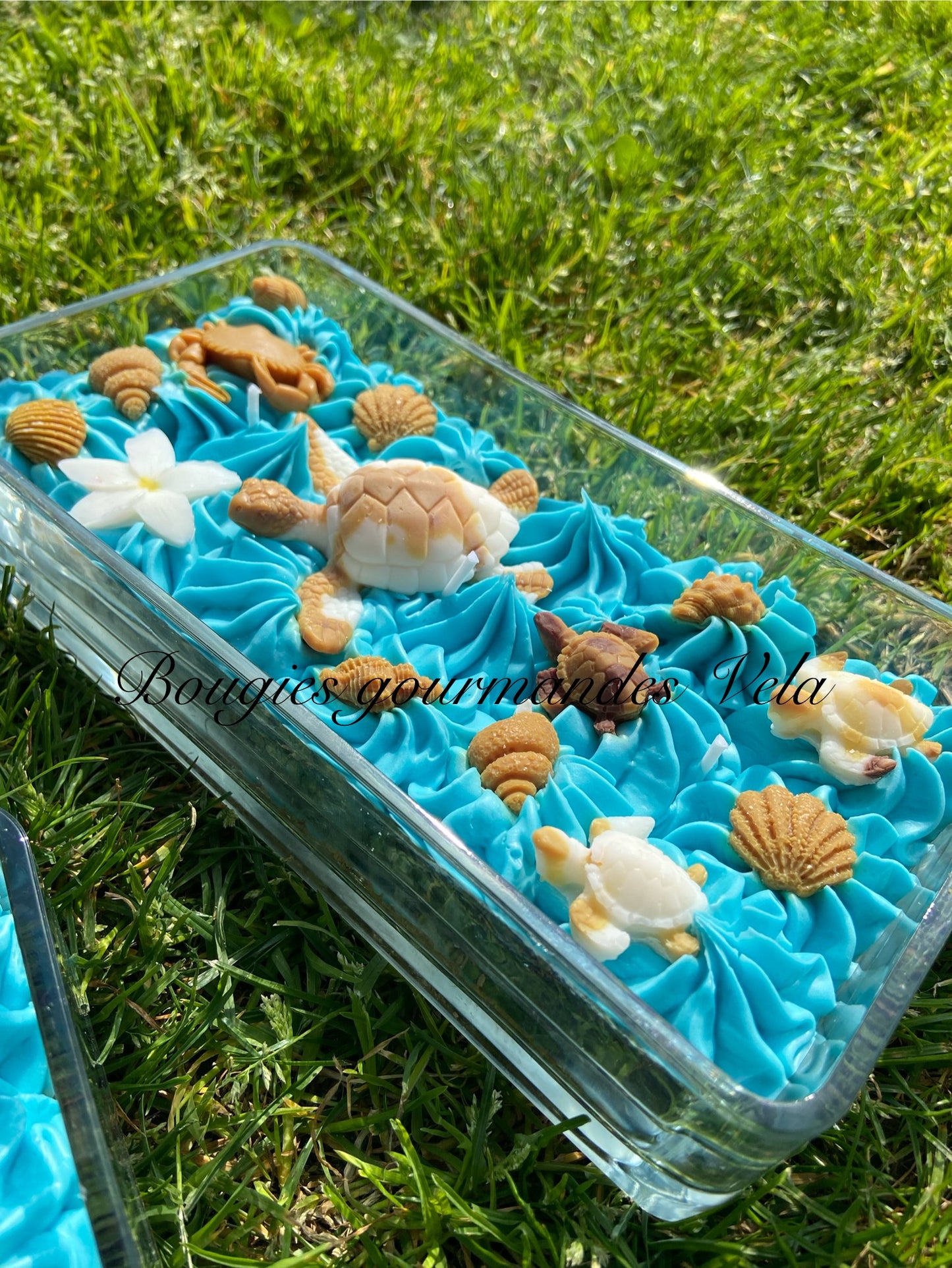 Grosse bougie chantilly monoi tortue coquillages Bougie parfumée monoï Bougie chantilly Bougie artisanale Bougie végétale Idée cadeau