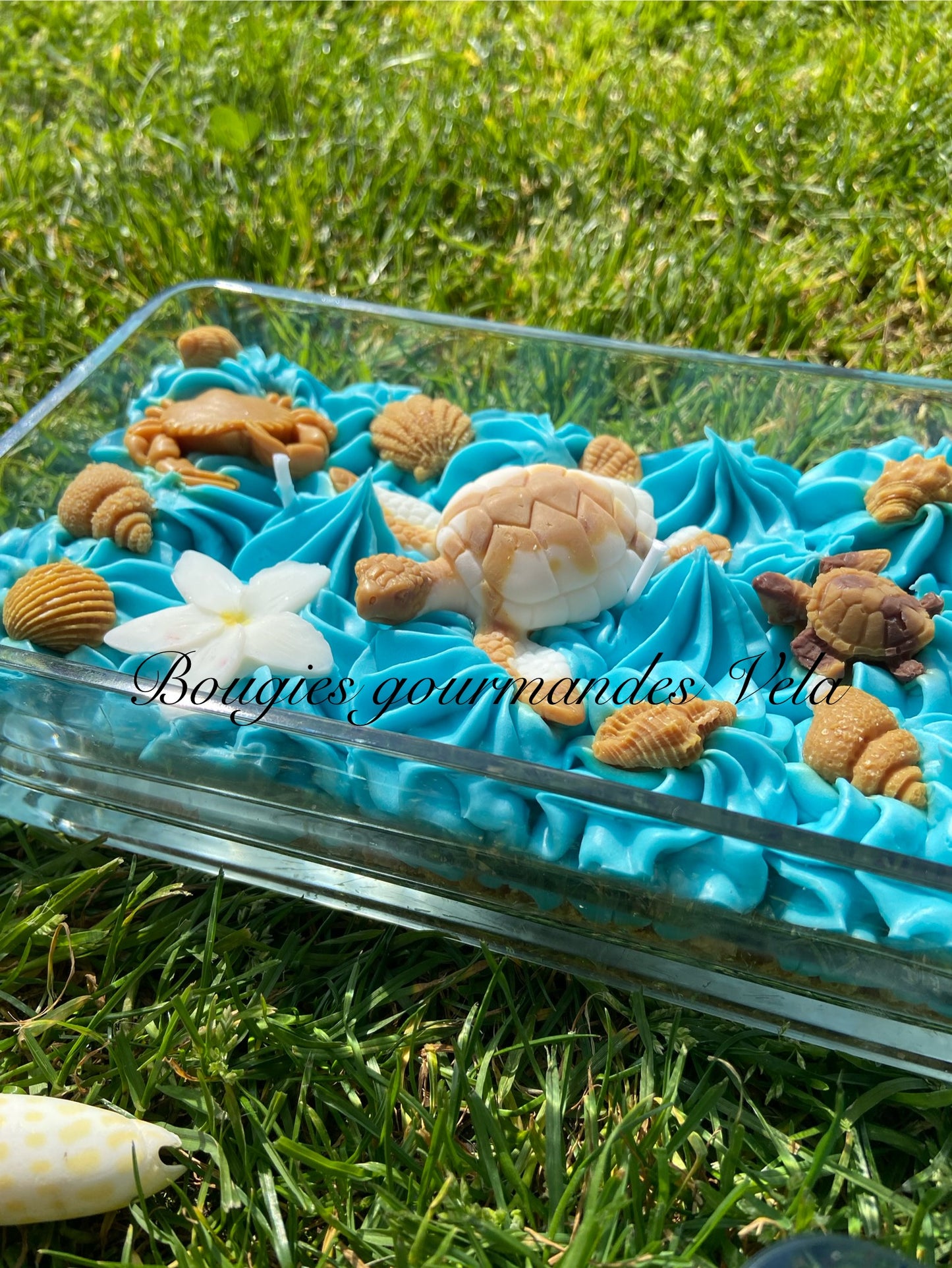 Grosse bougie chantilly monoi tortue coquillages Bougie parfumée monoï Bougie chantilly Bougie artisanale Bougie végétale Idée cadeau
