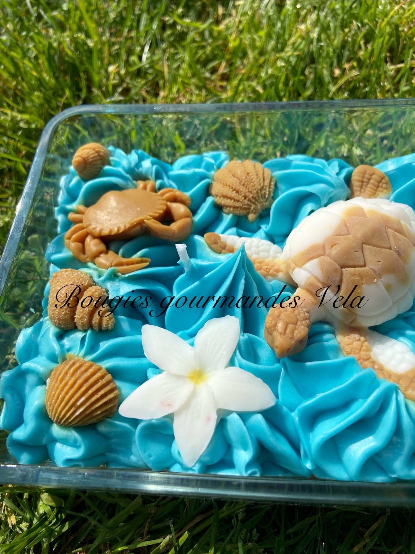 Grosse bougie chantilly monoi tortue coquillages Bougie parfumée monoï Bougie chantilly Bougie artisanale Bougie végétale Idée cadeau