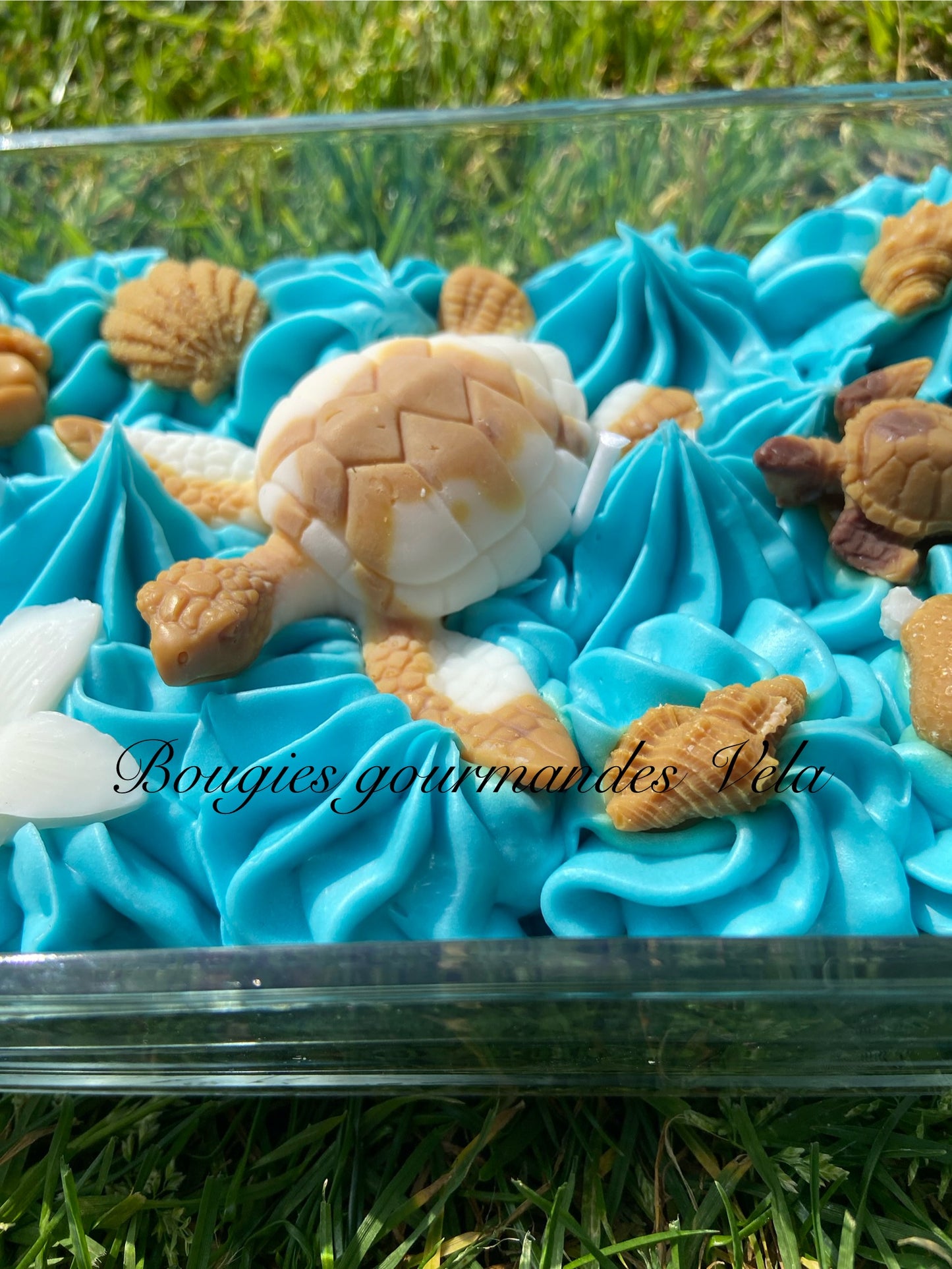 Grosse bougie chantilly monoi tortue coquillages Bougie parfumée monoï Bougie chantilly Bougie artisanale Bougie végétale Idée cadeau