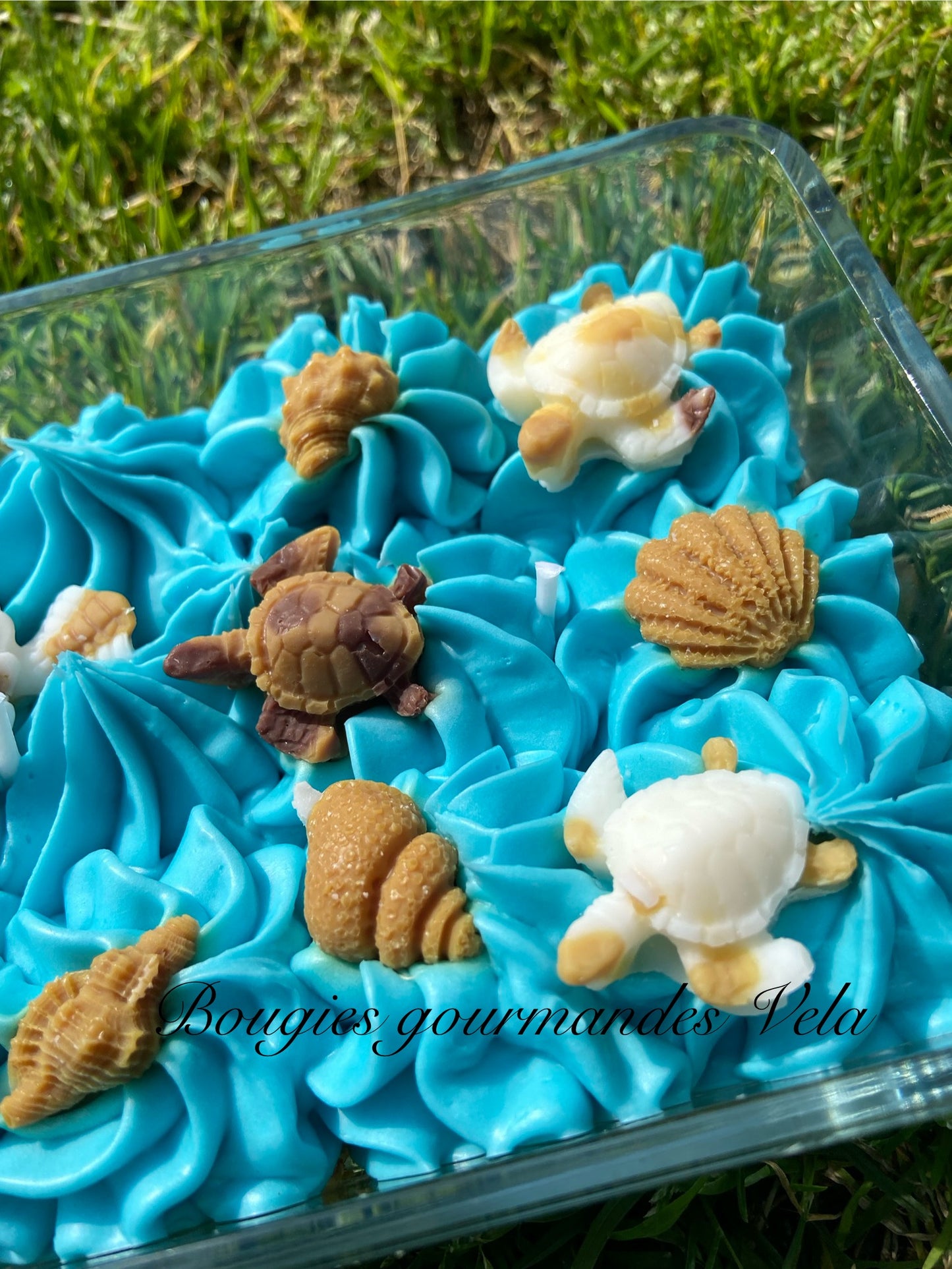 Grosse bougie chantilly monoi tortue coquillages Bougie parfumée monoï Bougie chantilly Bougie artisanale Bougie végétale Idée cadeau