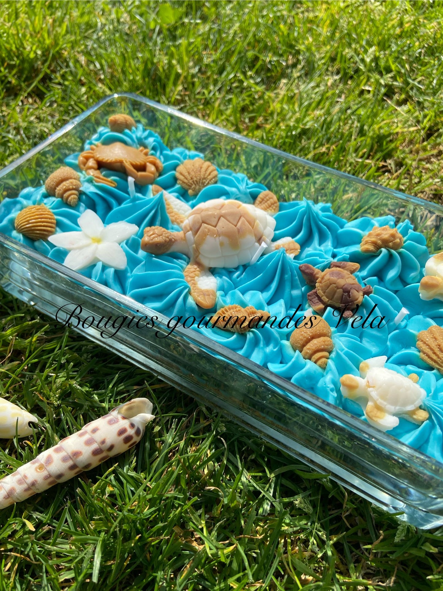 Grosse bougie chantilly monoi tortue coquillages Bougie parfumée monoï Bougie chantilly Bougie artisanale Bougie végétale Idée cadeau