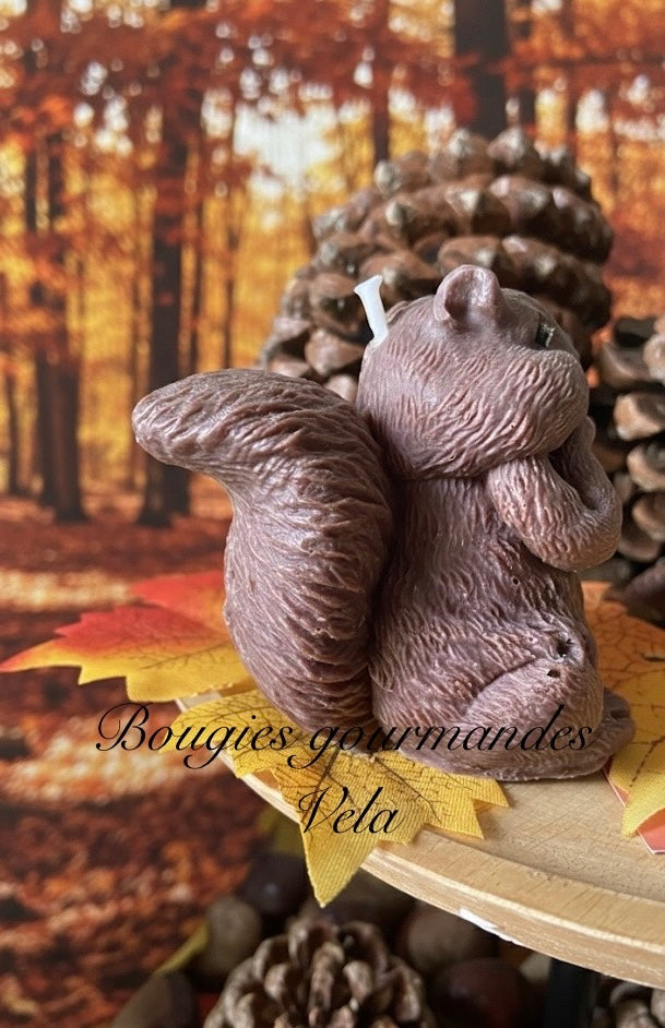Bougie écureuil Bougie automne Bougie artisanale Bougie végétale Idée cadeau Noel