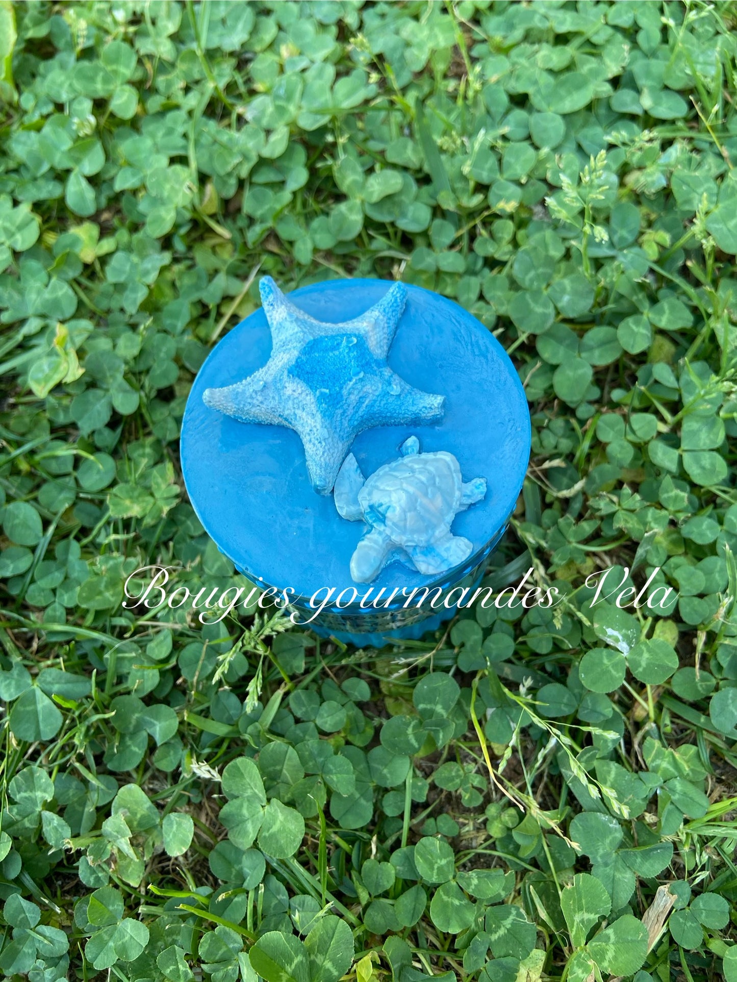 Bougie gourmande parfumée fruits rouges Boîte Jesmonite bleue tortue Bougie artisanale Bougie végétale Idée cadeau