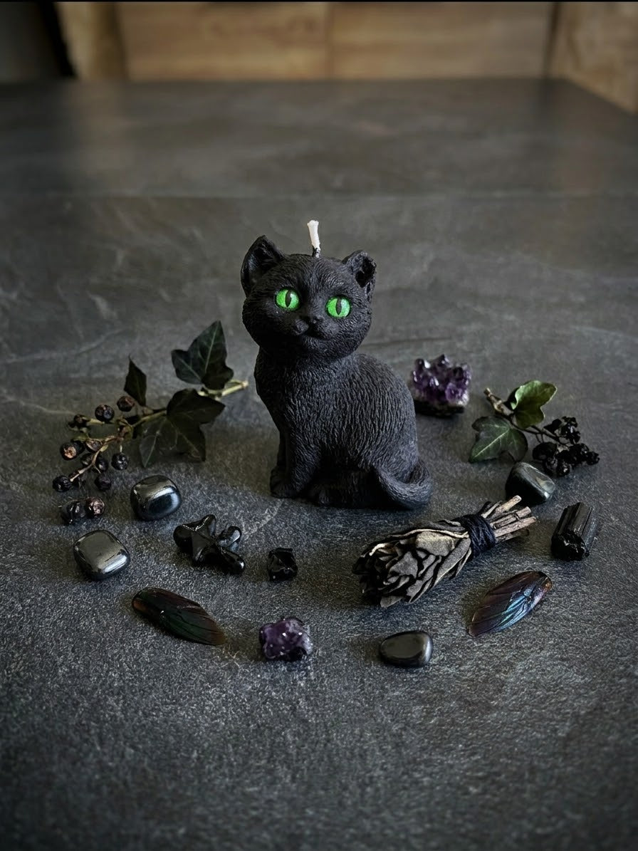 Bougie chat noir Bougie automne Bougie végétale Idée cadeau