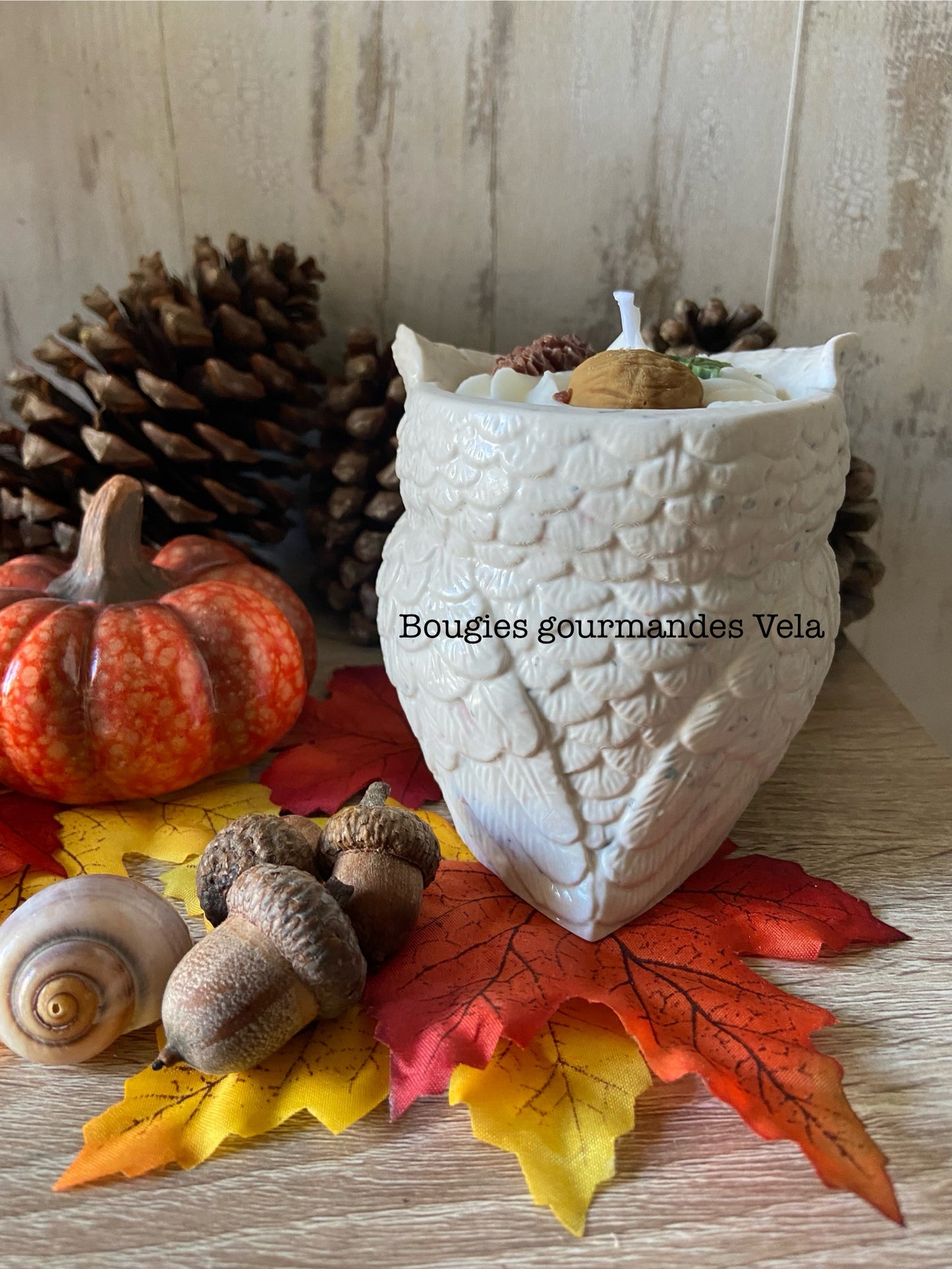 Grande Bougie hibou Jesmonite Bougie parfumée automne Bougie chantilly Bougie artisanale Bougie végétale Jesmonite Idée cadeau