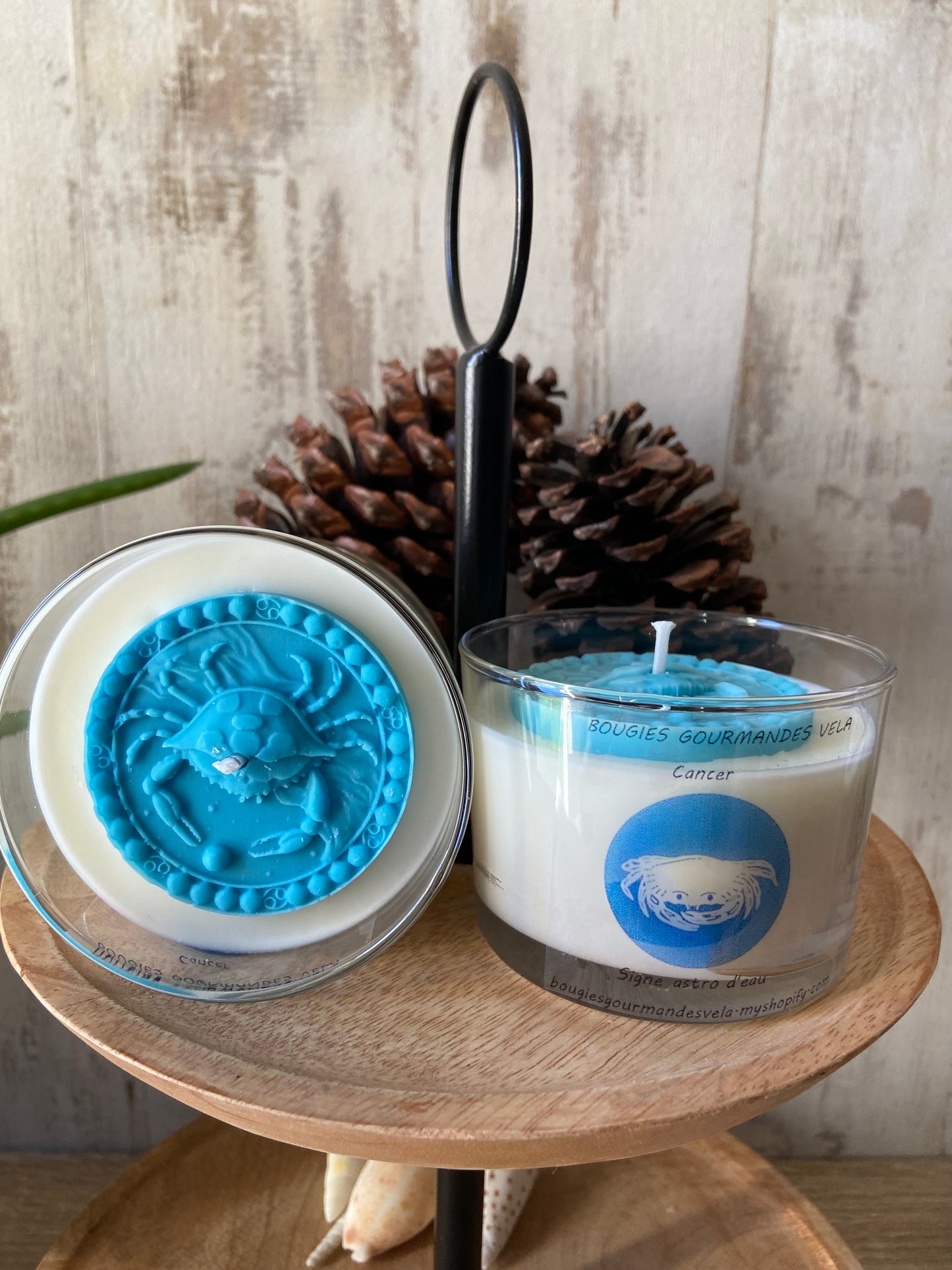Bougie Cancer Collection signes astrologiques Bougie signe d’eau Bougie artisanale Bougie végétale Idée cadeau