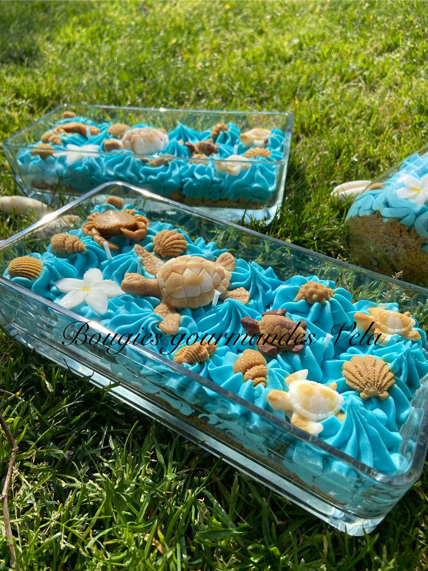 Grosse bougie chantilly monoi tortue coquillages Bougie parfumée monoï Bougie chantilly Bougie artisanale Bougie végétale Idée cadeau