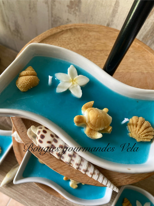 Bougie gourmande Bougie parfumée monoï Bougie tortue coquillages Bougie artisanale Bougie végétale Idée cadeau