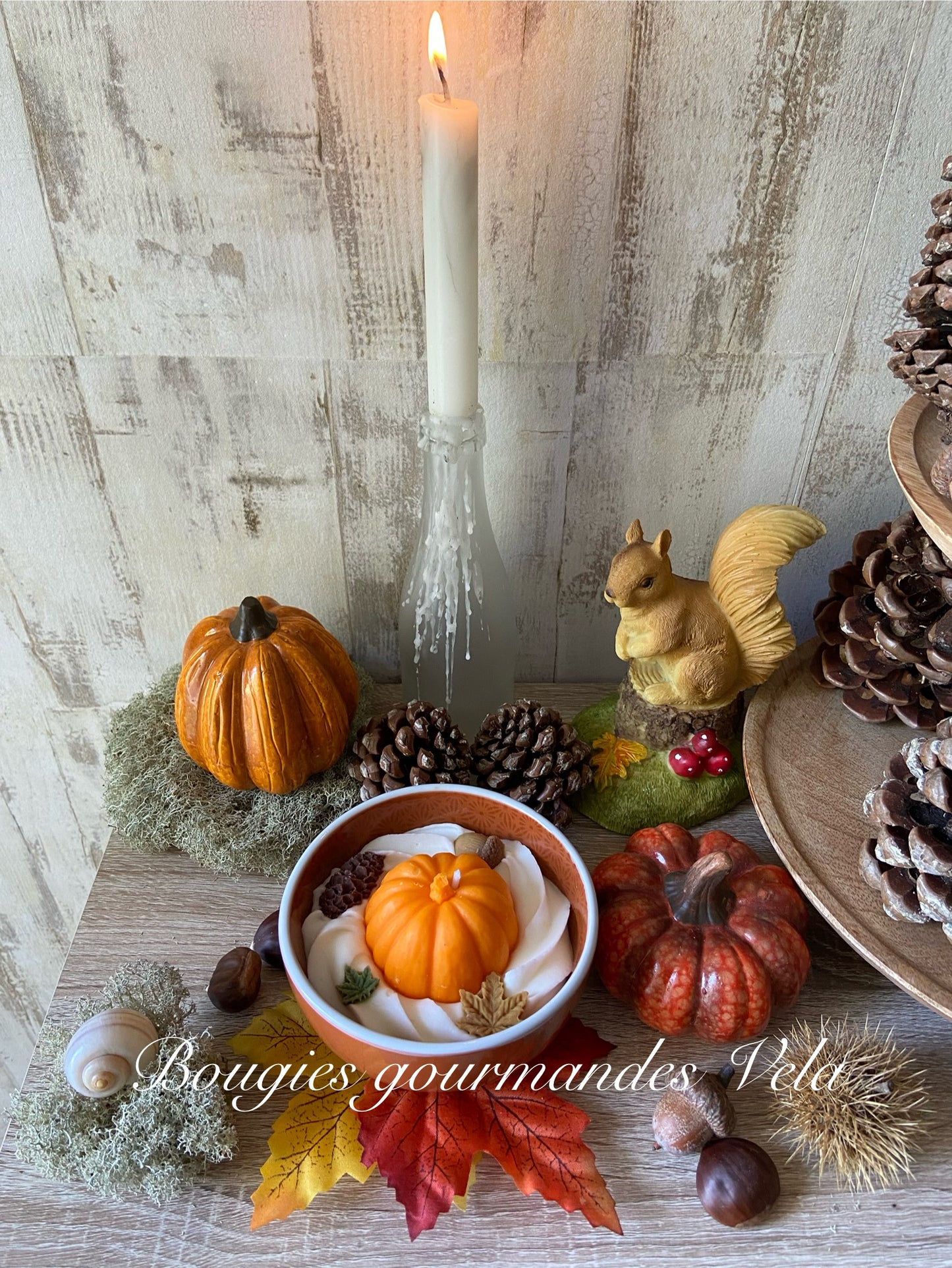 Bougie citrouille Bougie automne Bougie parfum citrouille blanche ambrée Bougie automne Bougie chantilly Bougie artisanale Bougie végétale Idée cadeau