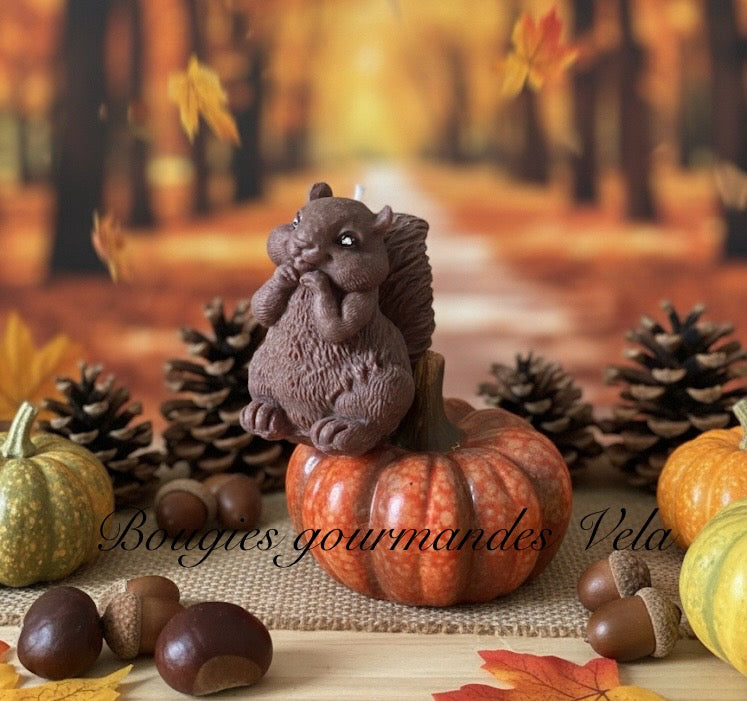 Bougie écureuil Bougie automne Bougie artisanale Bougie végétale Idée cadeau Noel