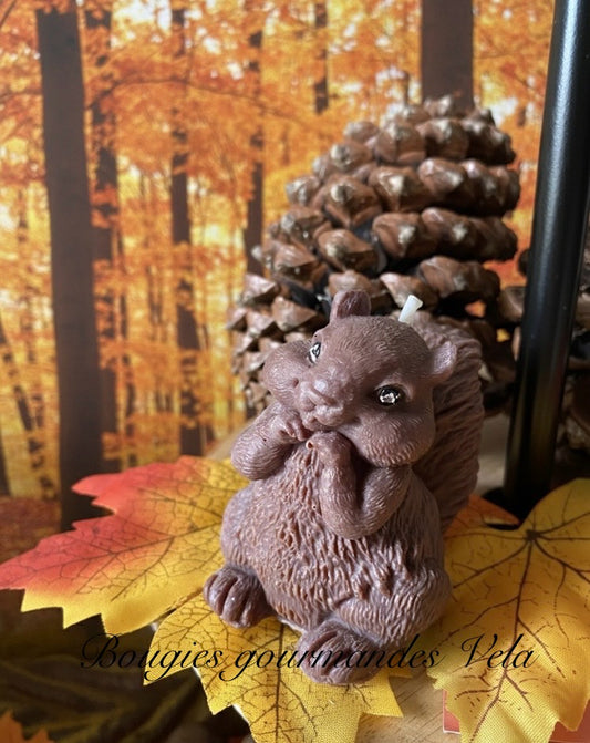 Bougie écureuil Bougie automne Bougie artisanale Bougie végétale Idée cadeau Noel