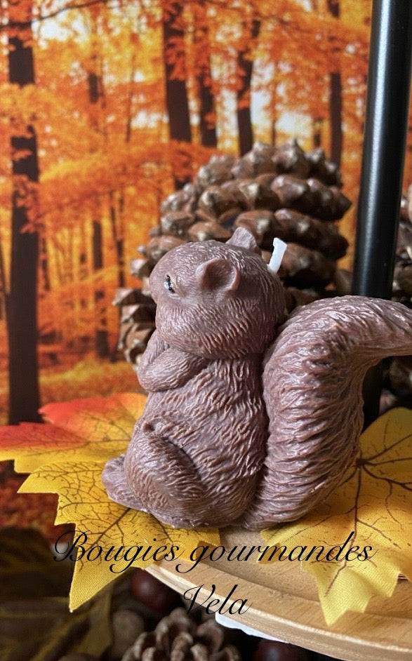 Bougie écureuil Bougie automne Bougie artisanale Bougie végétale Idée cadeau Noel
