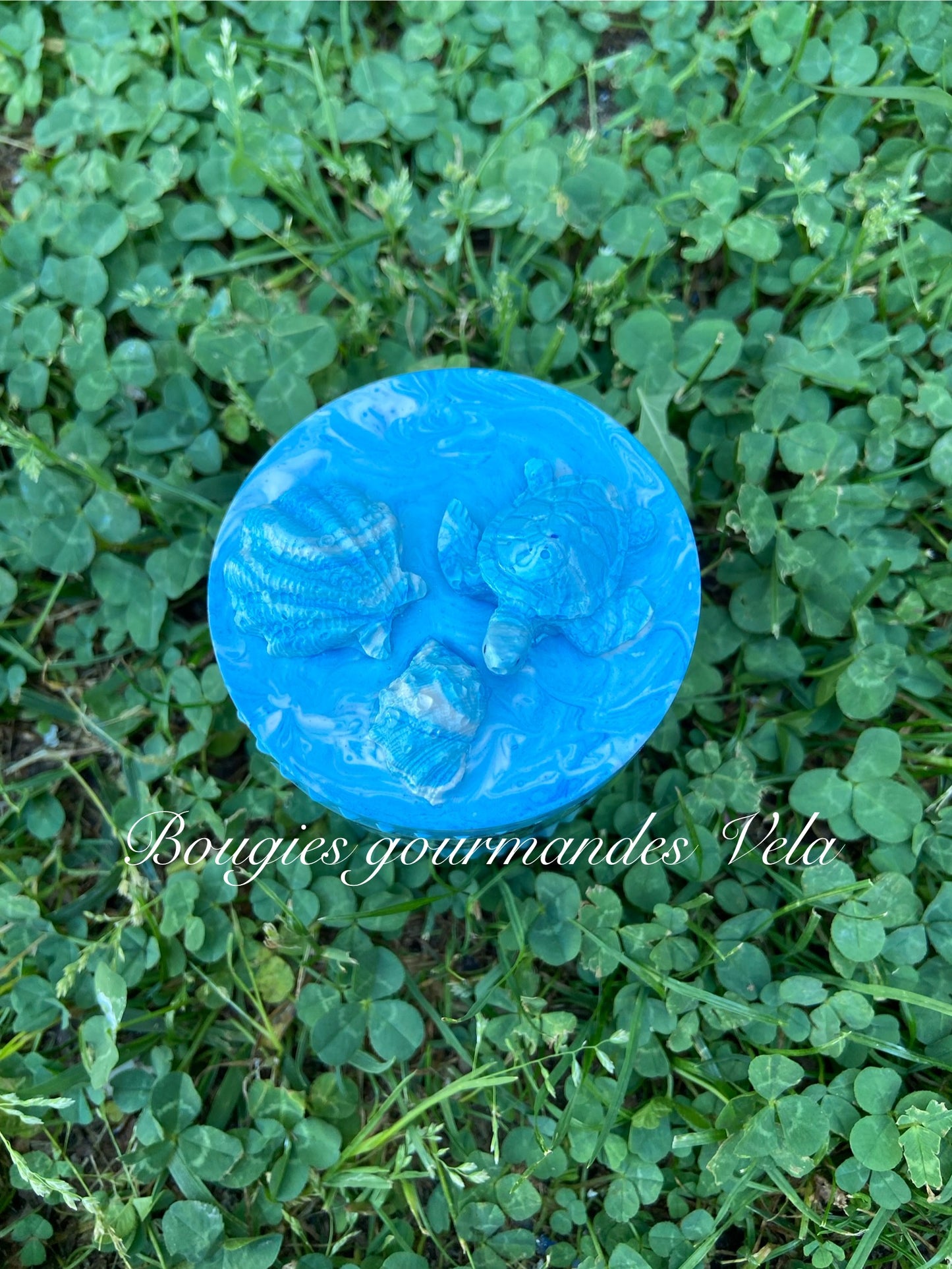 Bougie gourmande parfumée fruits rouges Boîte Jesmonite bleue coquillages Bougie artisanale Bougie végétale Idée cadeau