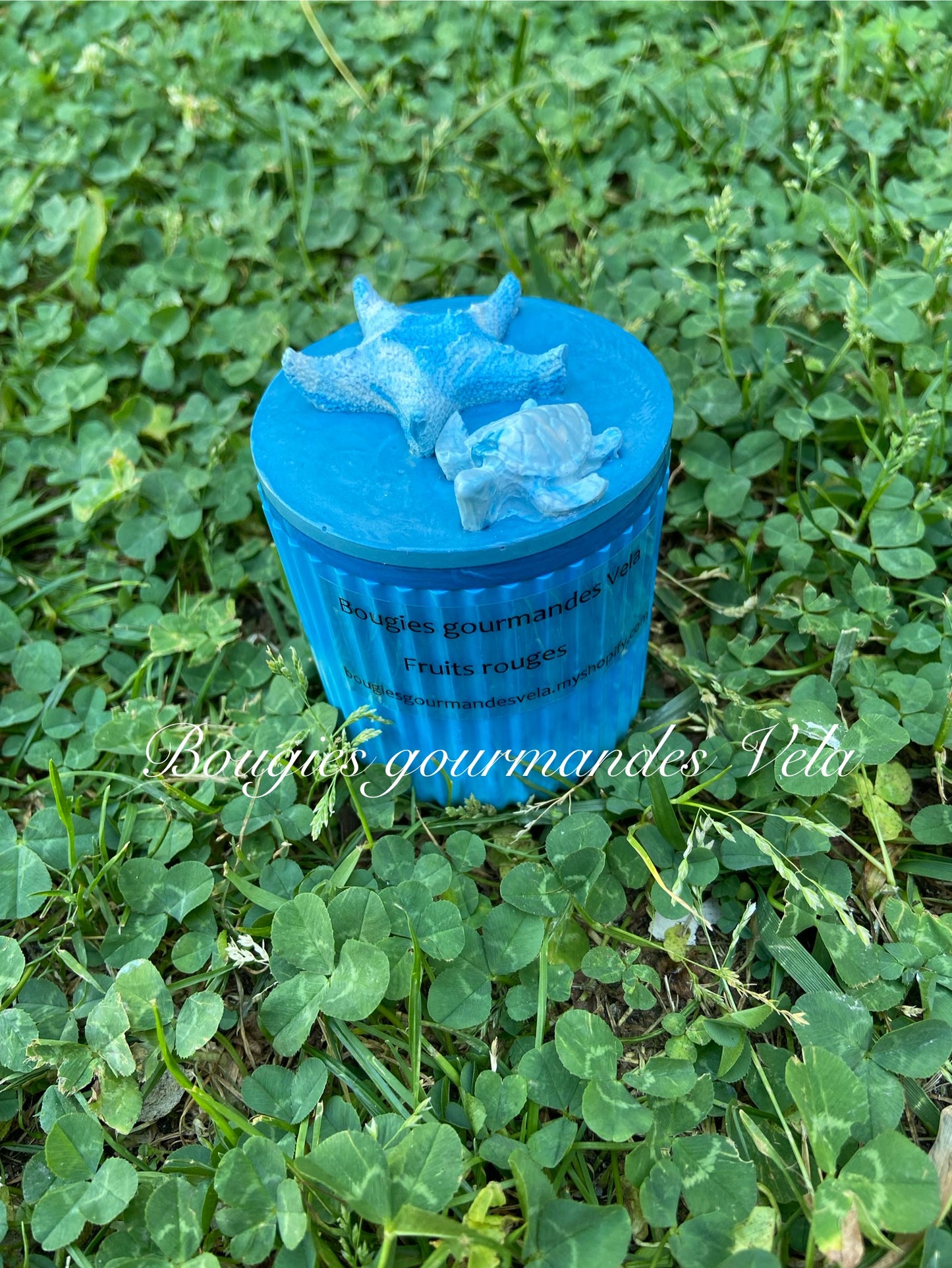 Bougie gourmande parfumée fruits rouges Boîte Jesmonite bleue tortue Bougie artisanale Bougie végétale Idée cadeau