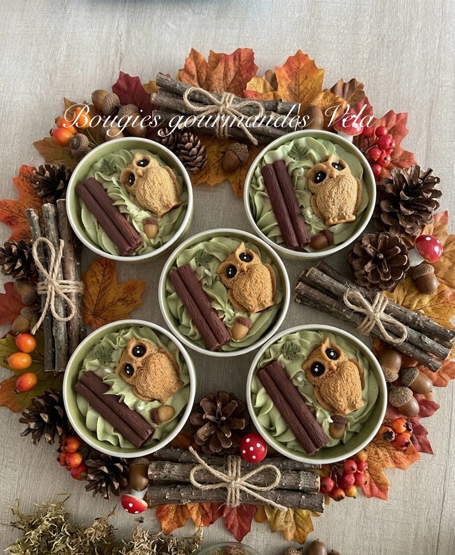Bougie gourmande automne hibou Bougie parfumée cookie chocolat Bougie chantilly Bougie végétale Idée cadeau