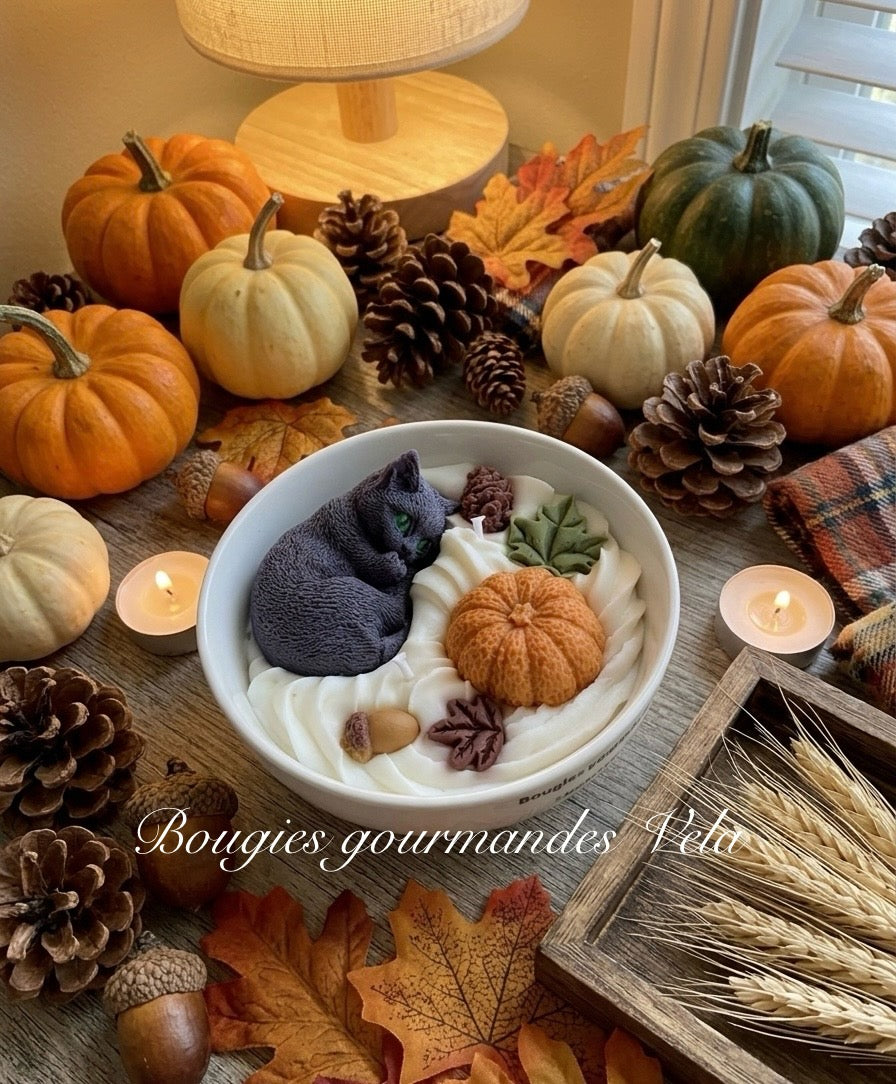 Bougie gourmande automne chat gris noir citrouille Bougie parfumée cookie chocolat Bougie chantilly Bougie végétale Idée cadeau