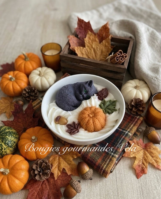 Bougie gourmande automne chat gris noir citrouille Bougie parfumée cookie chocolat Bougie chantilly Bougie végétale Idée cadeau